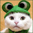 КЛИ